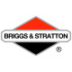 Двигатели Briggs-Stratton в Алдане