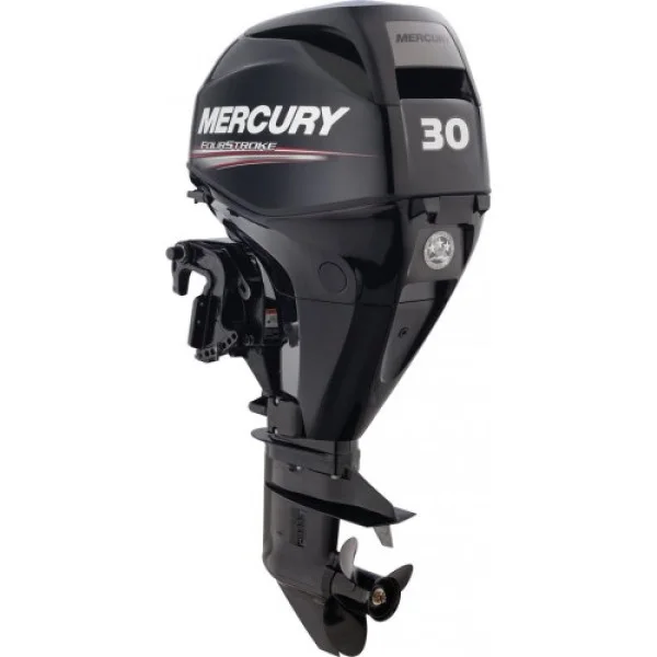 Мотор Mercury ME F 30 M GA EFI в Алдане